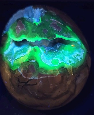 Volcano Agate Skull  Strong Uv 3.25'' X 3''   500g  1lb 1.6 Oz.
