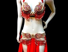 Made to Order Luxury Red  Gold Belly Dance Costume: Festival Performance