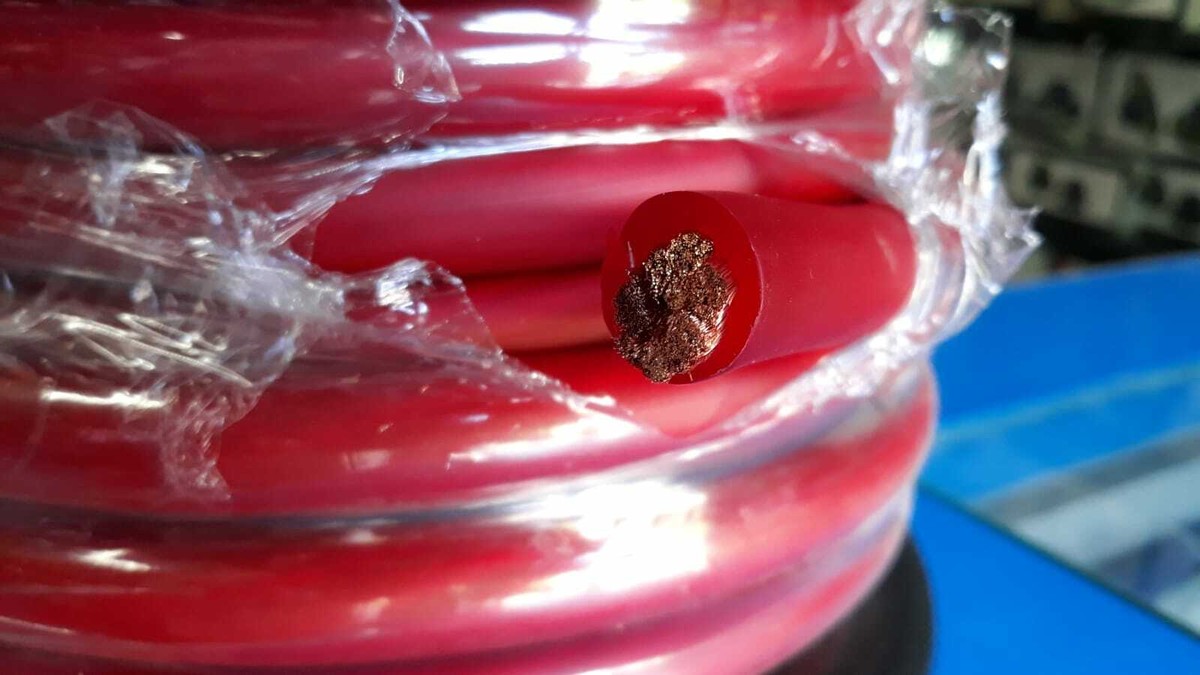 Dia Mundial Da Terra 0 IGUi Ecologia - Foto 6