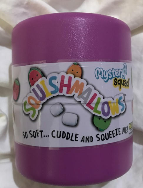 New Squishmallows Mystery Squad Sealed 1 plush in 1 container fruit | eBay