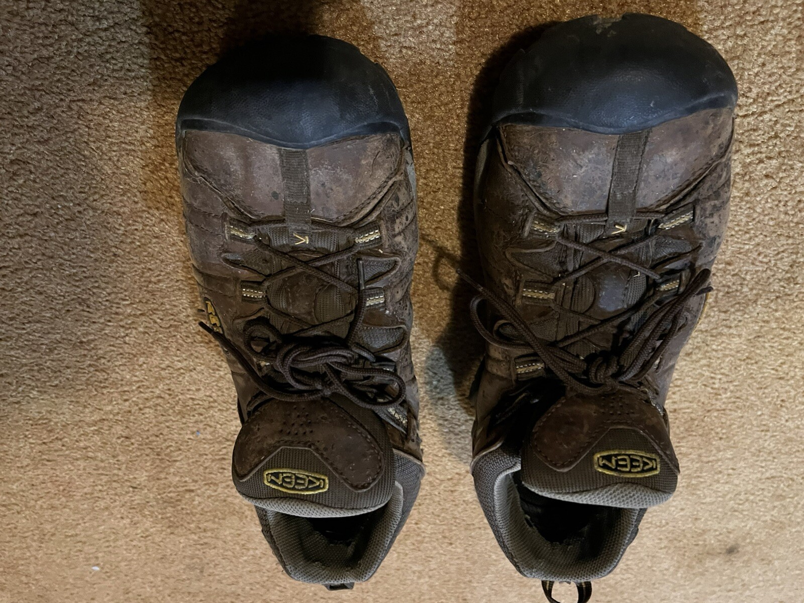 Scarpe Keen Targhee Uomo 15 Marrone Impermeabili Escursionismo Outdoor