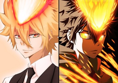 Giotto Kateky Hitman Reborn Tsunayoshi Anime Playmat Desk Mat 24x14in MTG YuGiOh