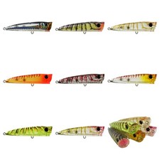 Bassday Fishing Lure Backfire 65 Surface Popper