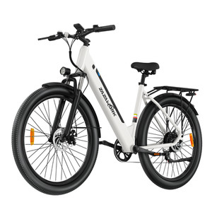 Gebrauchtes Elektrofahrrad | eBay.de