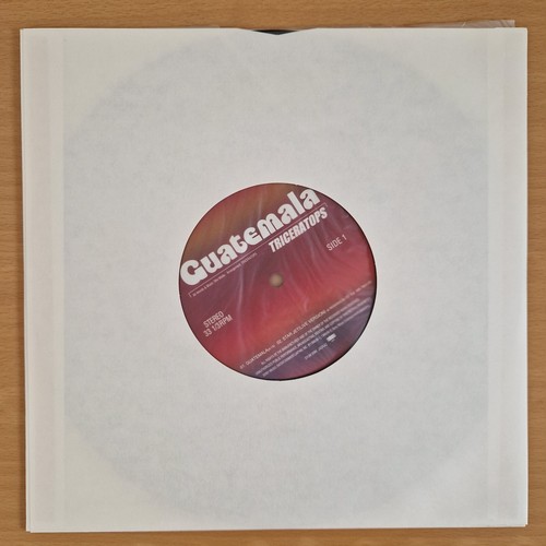 Triceratops "Guatemala" Japan 10" 33 ⅓ RPM - 1999 (SYUM 0094) MINT - Picture 5 of 6