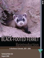 A Review Of Black- Footed Ferret Reintroduction In.. 9781505300338, Paperback A Review Of Black- Footed Ferret Reintroduction In.. 9781505300338, Paperback