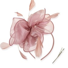 DRESHOW Fascinators Hat Tea Party Headwear Ribbons Feathers on a Headband and...