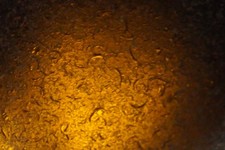 Black Sea Glass - 43g RAREST OLDEST Pirate 1700s Sydney Cove, Australia vvv20