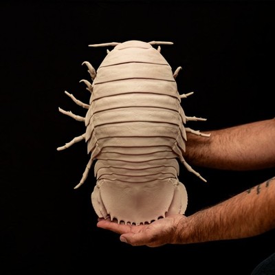 Riesen Isopode Replik Bathynomus Tiefsee Kurioses Modell 42 cm bemalt Deko