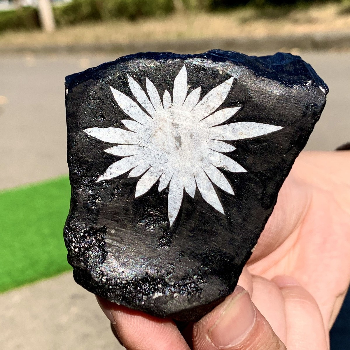 252G Natural Chrysanthemum Stone Quartz Carving Halo Treatment