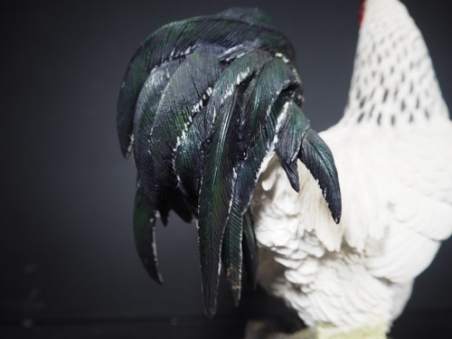 Large Border Fine Arts Studio Birds by Russell Willis White Cockerel 739448 - Picture 10 of 15