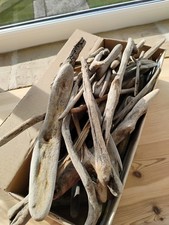 Driftwood x 50 Pieces From 10cm Upto 45cm appox