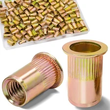 1/4 Rivet Nut, 115Pcs Carbon Steel Zinc Rivet Nuts 1/4-20, 1/4 20 Threaded Inser