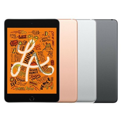 Apple iPad Mini 5th Gen iPad mini5 WiFi+Cellular 64GB シルバーSIM 