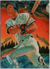 1995 Fleer Pro-Visions Tim Salmon Insert Card #5 Angels