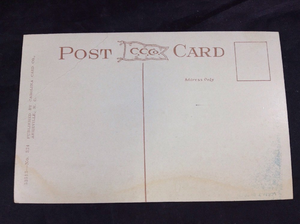 Plott Balsams North Carolina Blue Ridge Mountains Vintage Color Postcard Unpost