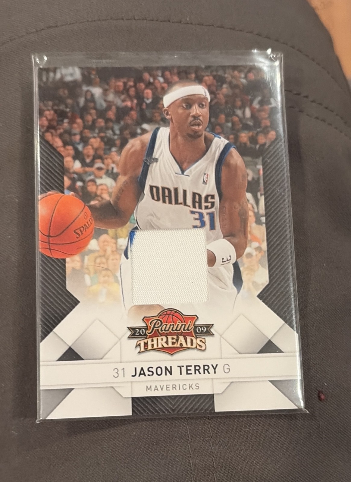 2009-10 Panini Threads - Jason Terry #62 Jerseys Prime /25 (MEM)