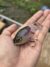 Fully Custom Sunfish Whopper Plopper 