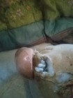 Bild 16 von 24