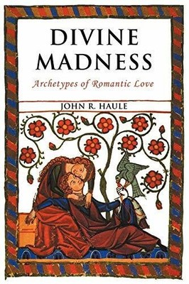 Divine Madness: Archetypes of Romantic Love Buch Fisher King Press
