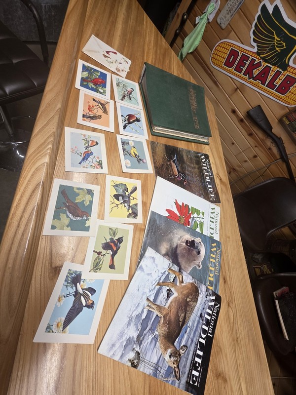 Vintage National Wildlife Magazine Lot of 12 From 1967-70  & song bird notepaper