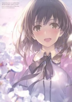 Anime Mook (with appendix) How to Raise a Boring Girlfriend misaki kurehito Art