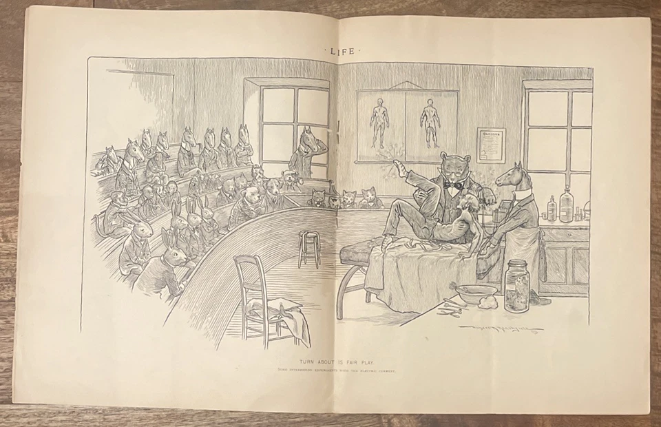 Life Magazine - December 12 ,1895 - Complete - Image 4 of 4