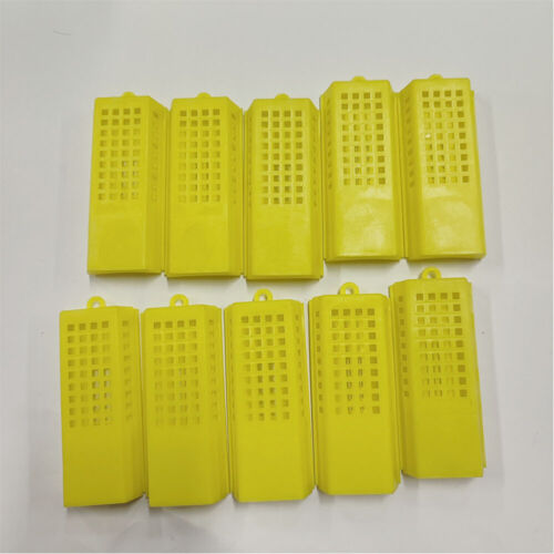 10x/Set Professional Queen Bee Butler Cage Catcher Trap Case Beekeeping Tool NEW - Picture 8 of 10