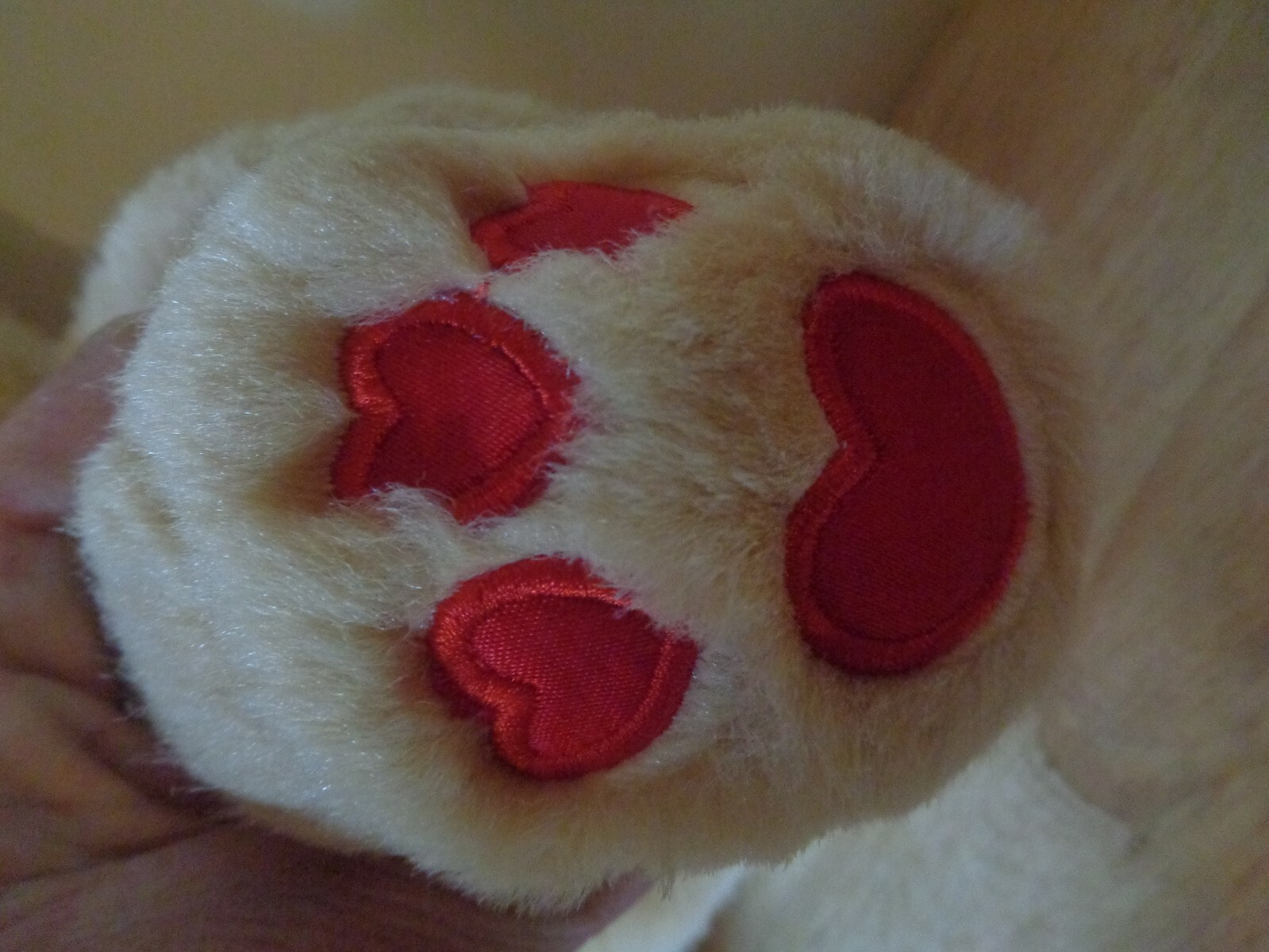 Bild 4 von 5