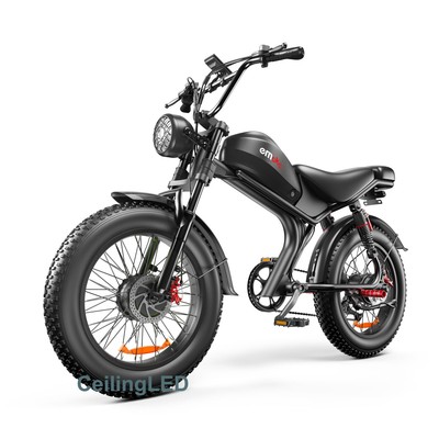 20'' Adult Electric Bicycle 2000W 48V 23Ah Motorcycle Mountain Bike Dirt E-Bike