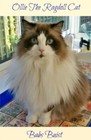 Ollie The Ragdoll Cat: A Book for Cat Lovers of All Ages by Babs Buist