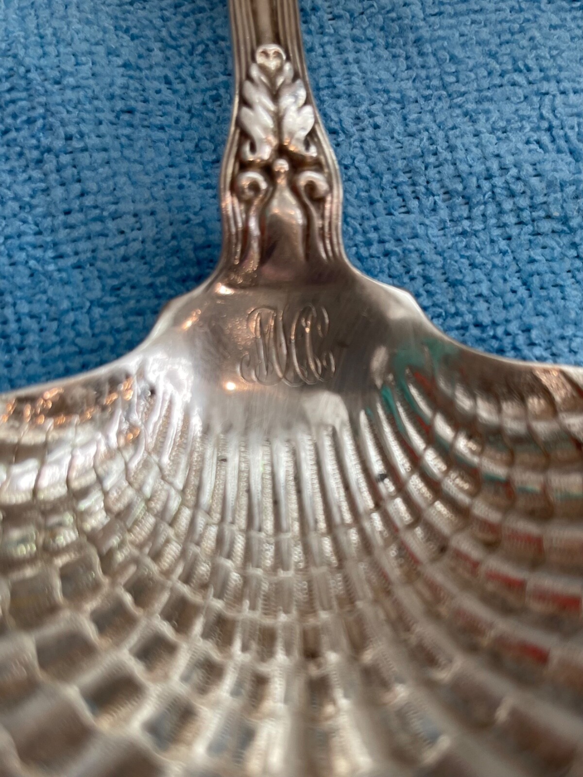 Picture 4 of 4