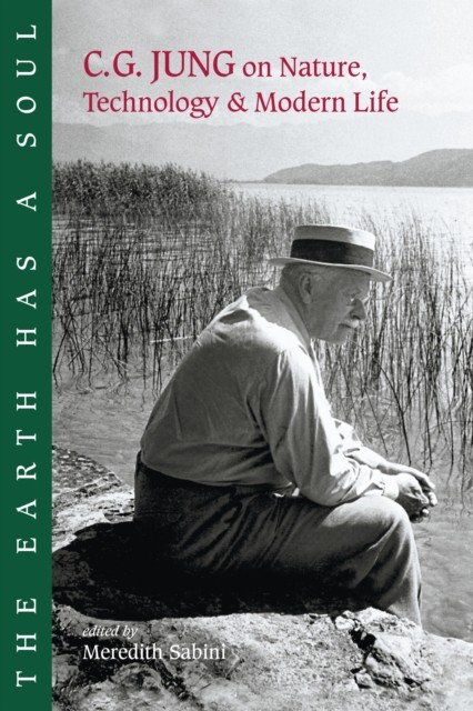 The Earth Has a Soul by Carl G. Jung (Paperback Book)