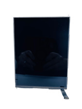 Apple iPad Mini LCD Display Black Genuine A1432