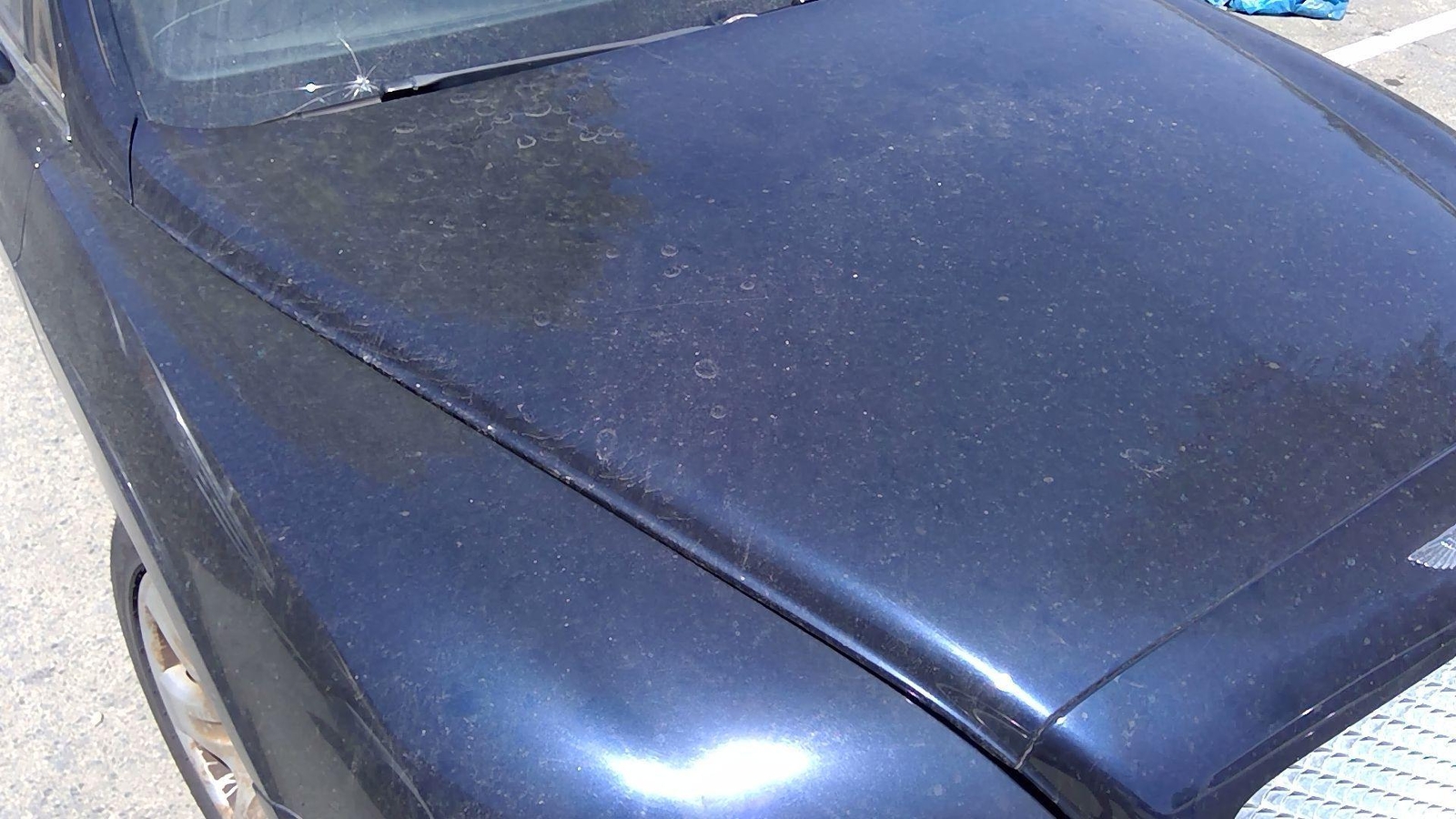 06 BENTLEY Hood Dark Blue