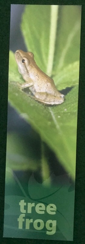 Bookmark: The Last Green Valley Featuring A Tree Frog ***NEW*** No Tag