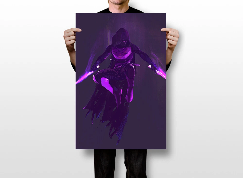 Destiny Role Playing Video Game Hanging Wall Scoll Fabric Decorative Horizontal Poster (21.6 x 13.8) - PUDEN20: Posters & Prints