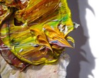 Bild 3 von 23