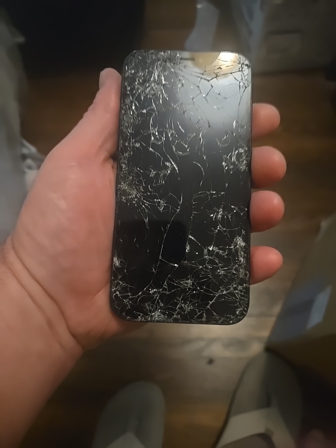 iPhone 13