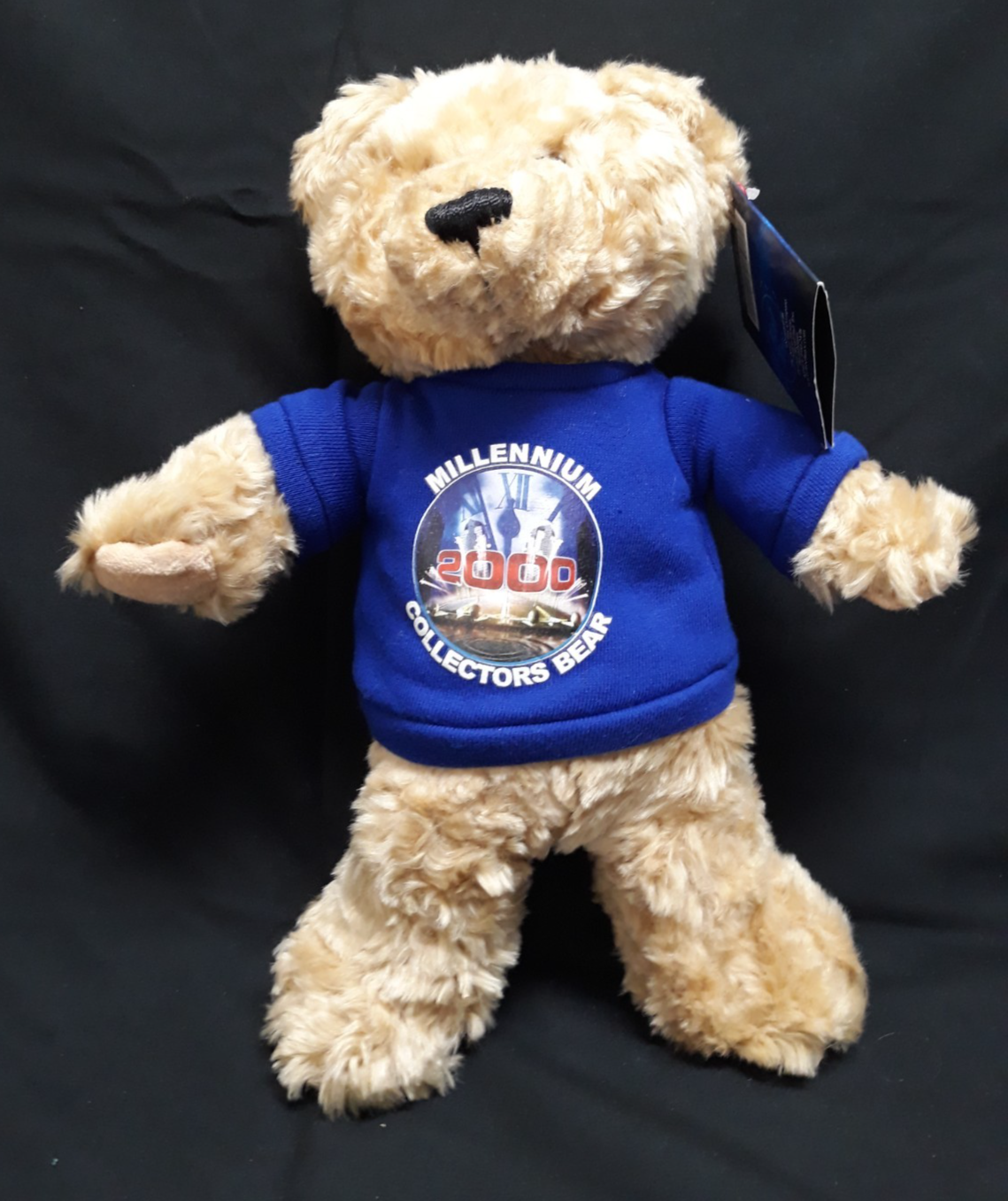Keel Toys Millennium 2000 Teddy Bear Collectors Plush Shaggy 12"" High w/ Tags