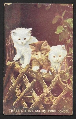 1917 GEDRUCKTE POSTKARTE, ''DREI KLEINE MÄDCHEN AUS DER SCHULE'' KÄTZCHEN AUF EINEM ZAUN
