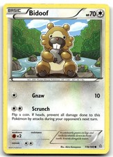 Bidoof 116/160 XY - Primal Clash Common Normal Pokemon TCG MP