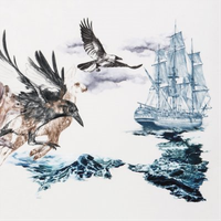 Do Make Say Think Stubborn Persistent Illusions (Cd) Album