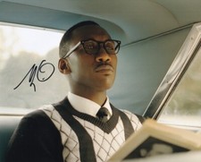MAHERSHALA ALI signed Autogramm 20x25cm GREEN BOOK in Person autograph COA