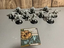 A11505 HORDES WARMACHINE MINIONS FARROW COMMANDOS UNIT PRIVATEER PRESS