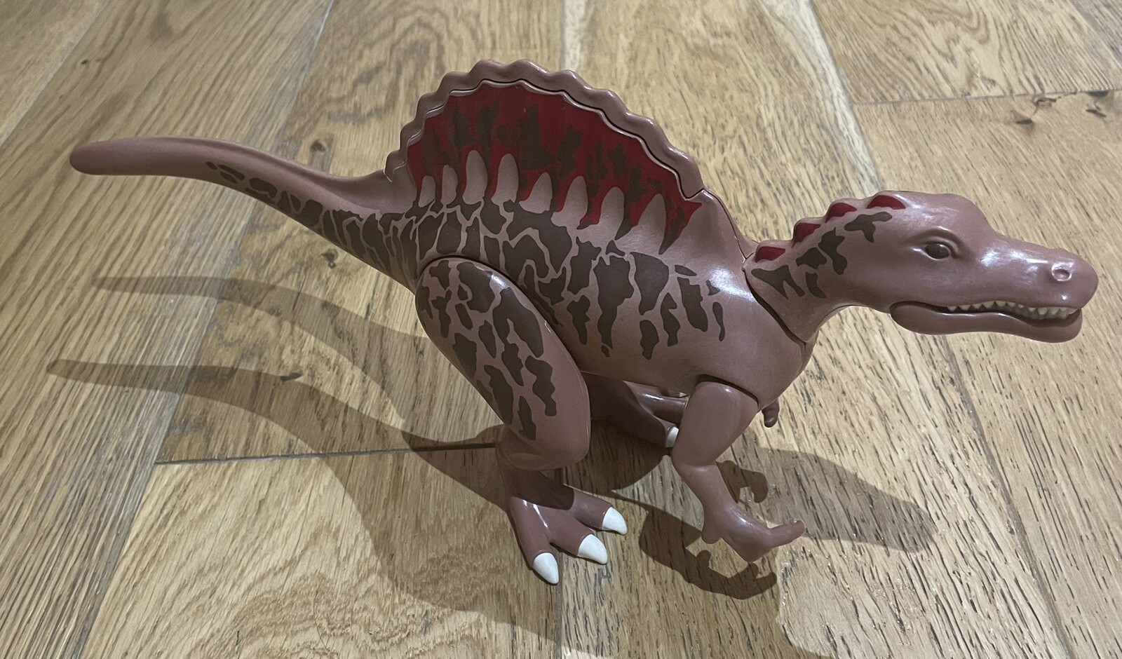 Picture 5 of 12