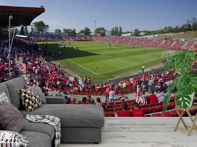 3D Stadium Sports Pattern Wallpaper Wall Murals Removable Wallpaper 58
