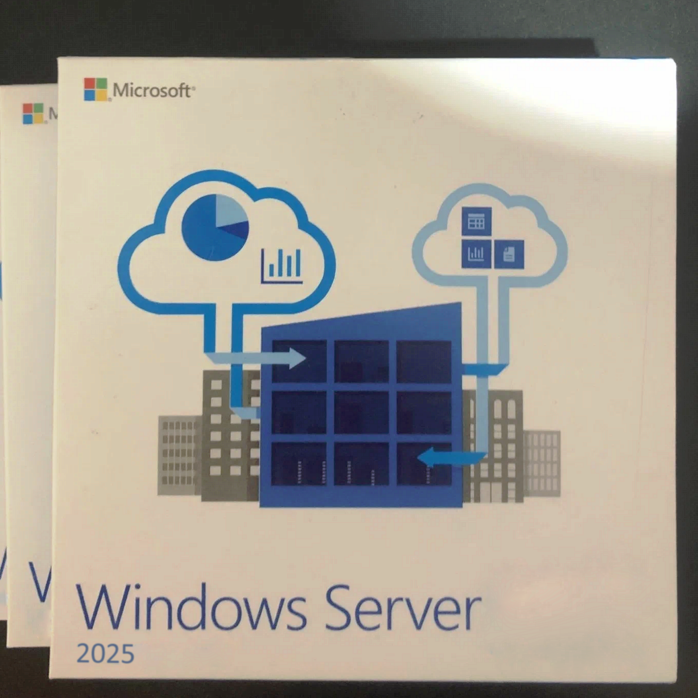 Microsoft Windows Server 2025 Standard/Datacenter 64 Bit
