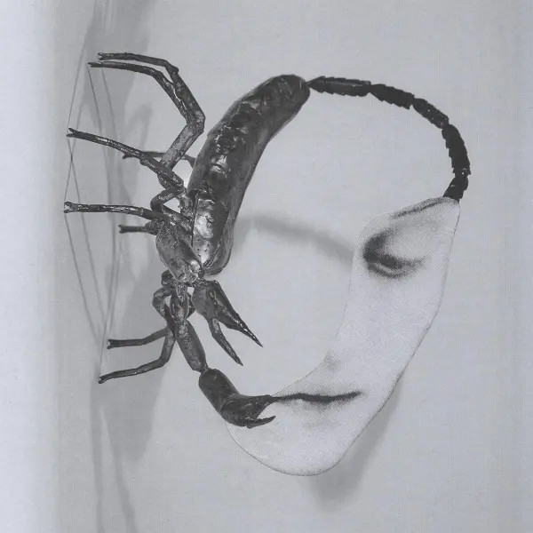 Touch | Tortoise | Vinyl / Schallplatte | 2025 | International Anthem / Indigo-image