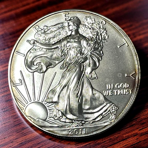 2011 TONED American Silver Eagle 1 oz Dollar Uncirculated BU Coin Lot D3-223